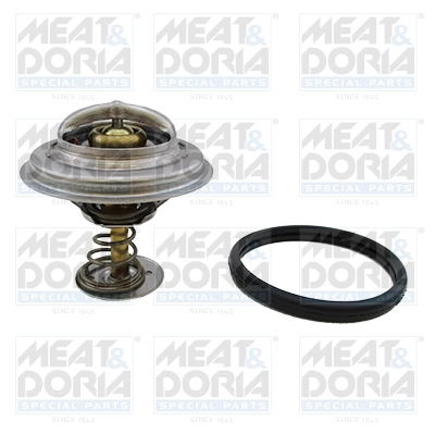 Thermostat, coolant